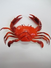 Plastic Crab