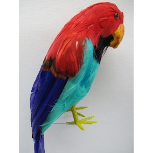 Pirate Parrot 15 inch