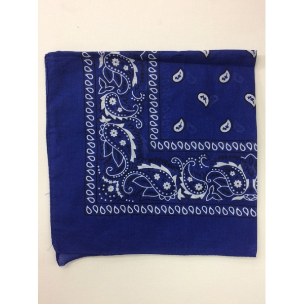 Blue Paisley Bandana