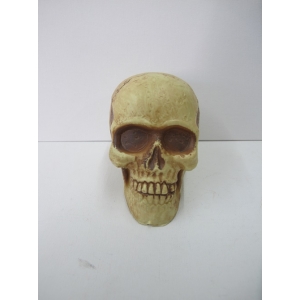 Skulls Decorations Small Plastic Skull - Halloween Decorations