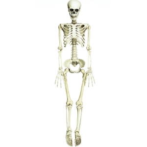 Giant Skeleton - Halloween Decorations