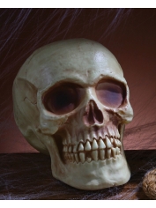 Large Skull - Halloween Decorations