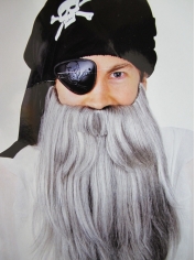Long Grey Beard - Beard and Moustache	
