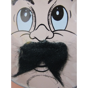 Short Black Moustache - Beard and Moustache