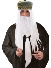 Long White Beard with Wig - Long Beard and Moustache