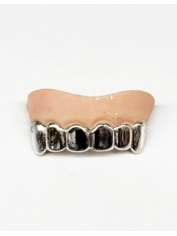 Silver Look Teeth Grills