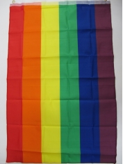 Medium Rainbow Flags - Mardi Gras Decorations