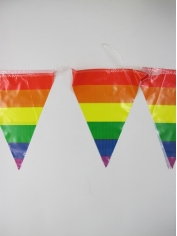 Rainbow Pennant Banner Flag