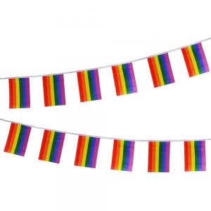 Rainbow Bunting Flag - Mardi Gras Decorations