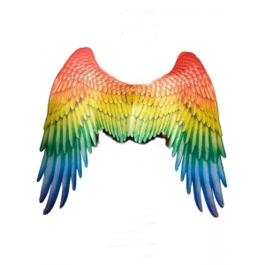 Large Rainbow Colored Angel Wings