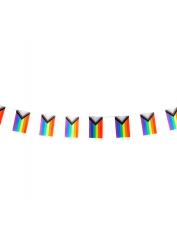 Pride Bunting Flag - Mardi Gras Rainbow Flags