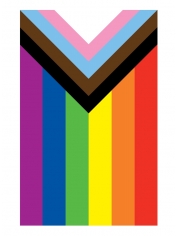 Large Progress Pride Flag - Rainbow Banner Flag