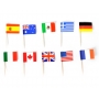 World Flags Toothpicks - Country Flags