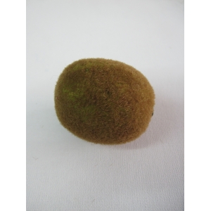 Kiwi - Fake Fruit
