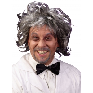 Mad Scientist Wig - Grey Wig Grey Curly Wigs 