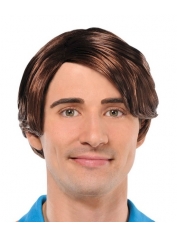 Wig 70s Dude Wig - Short Brown Wigs